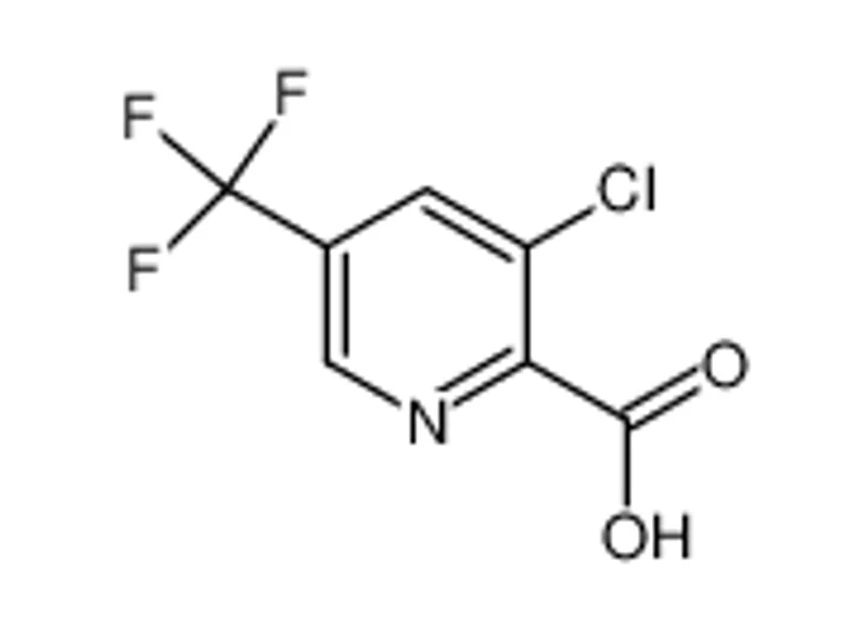 3-氯-5-三氟甲基吡啶-2-羧酸