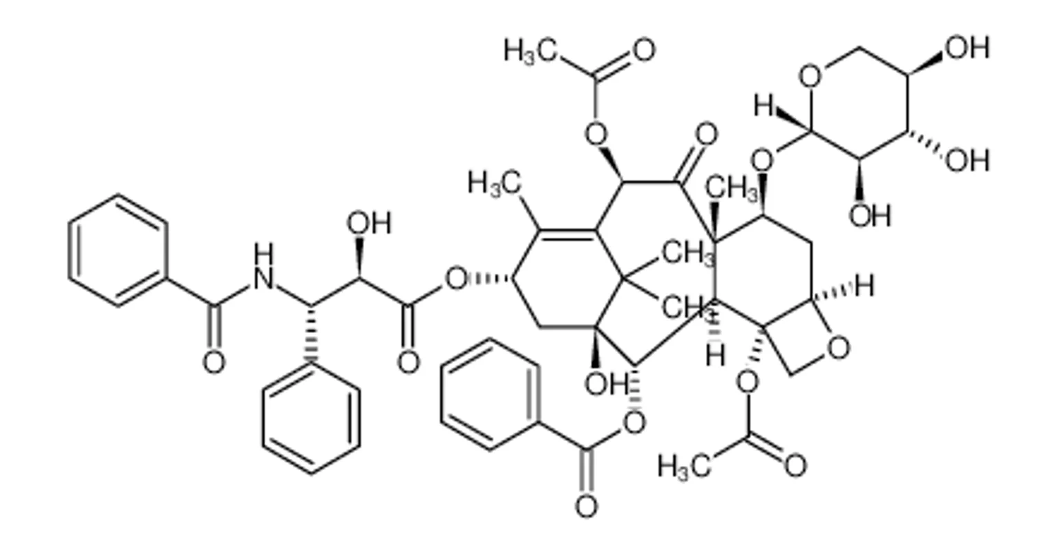 7-木糖基紫杉醇