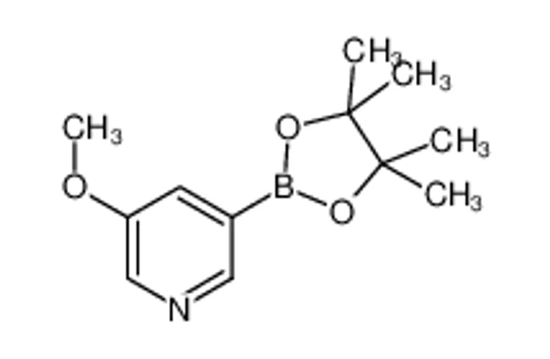 5-甲氧基-3-嘧啶频那醇硼酸酯
