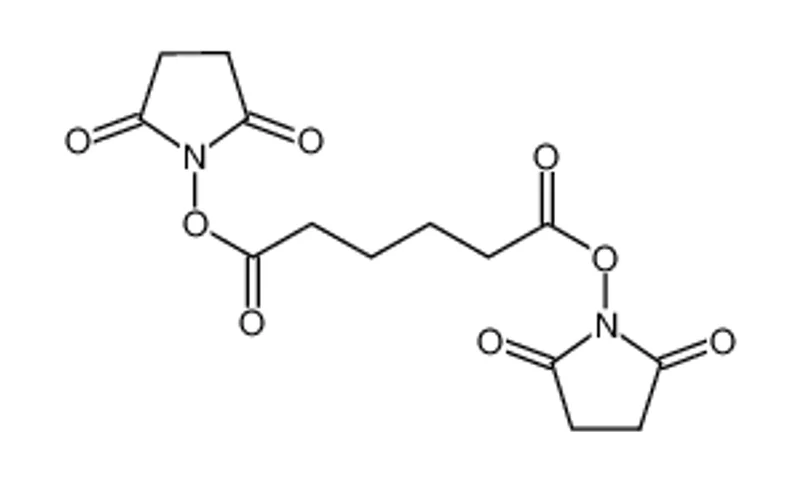 己二酸 1,6-二(2,5-二氧代-1-吡咯烷基)酯
