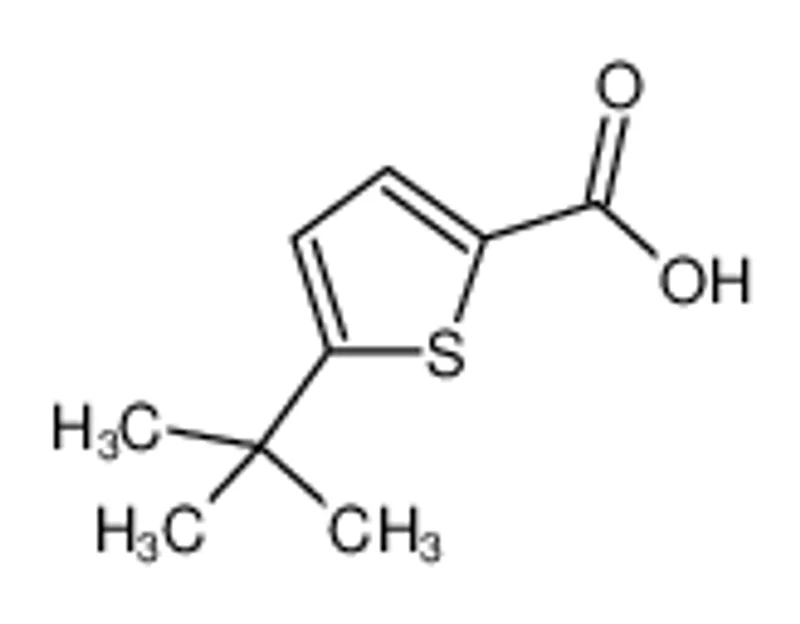 5-叔丁基噻吩-2-羧酸