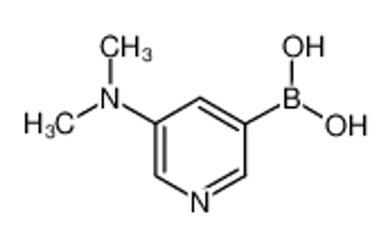 5-(二甲基氨基)吡啶-3-硼酸