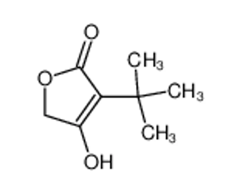 3-叔丁基-4-羟基呋喃-2(5H)-酮