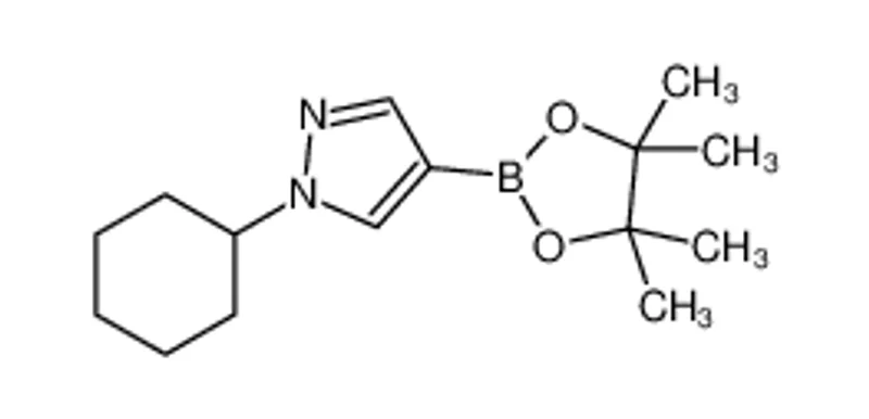 1-环己基-吡唑-4-硼酸频那醇酯