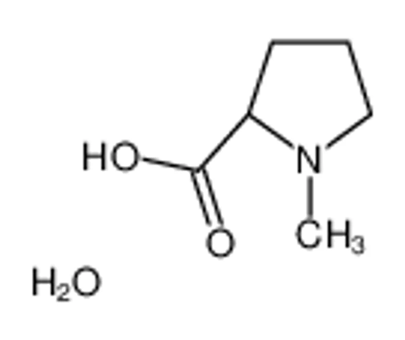 N-甲基-D-脯氨酸一水合物