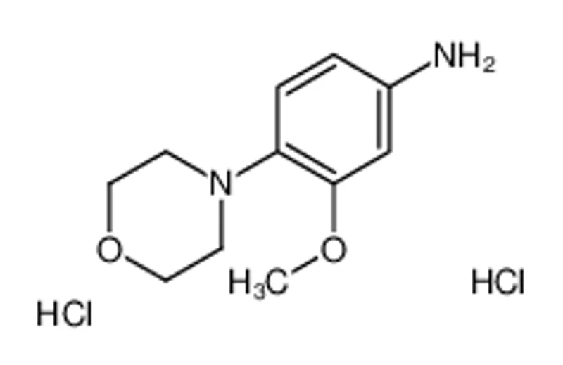 3-甲氧基-4-(4-吗啉基)苯胺双盐酸盐