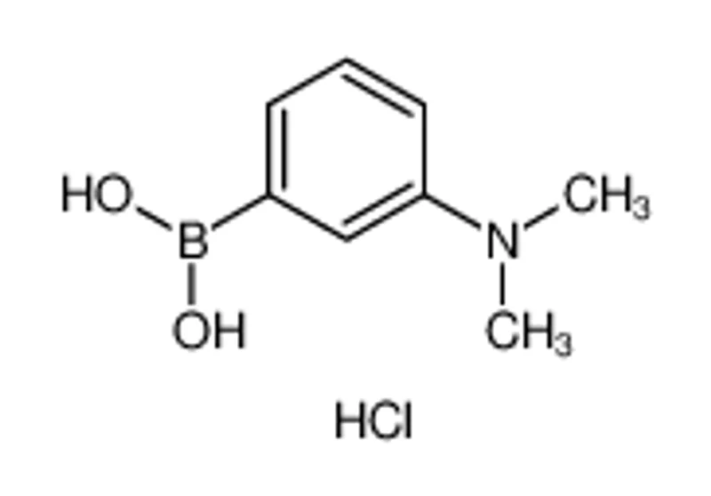 3-二甲氨基苯硼酸盐酸盐