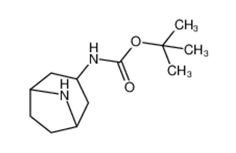 3-叔丁氧酰基氨基脱甲托品烷