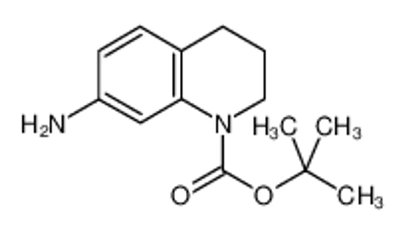 1(2H)-Boc-7-氨基-3，4-二氢喹啉