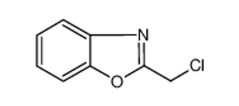 2-氯甲基-1，3-苯并恶唑