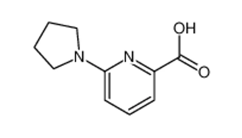 6-(1-吡咯烷基)-2-吡啶甲酸