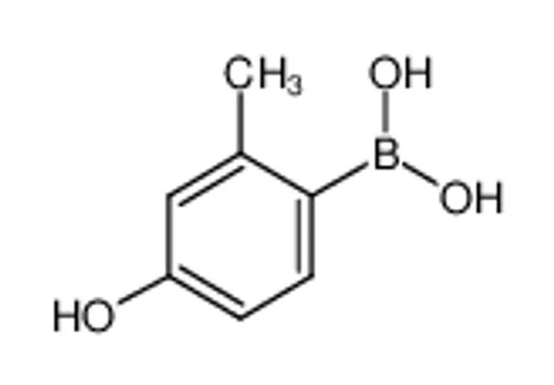4-羟基-2-甲基苯硼酸