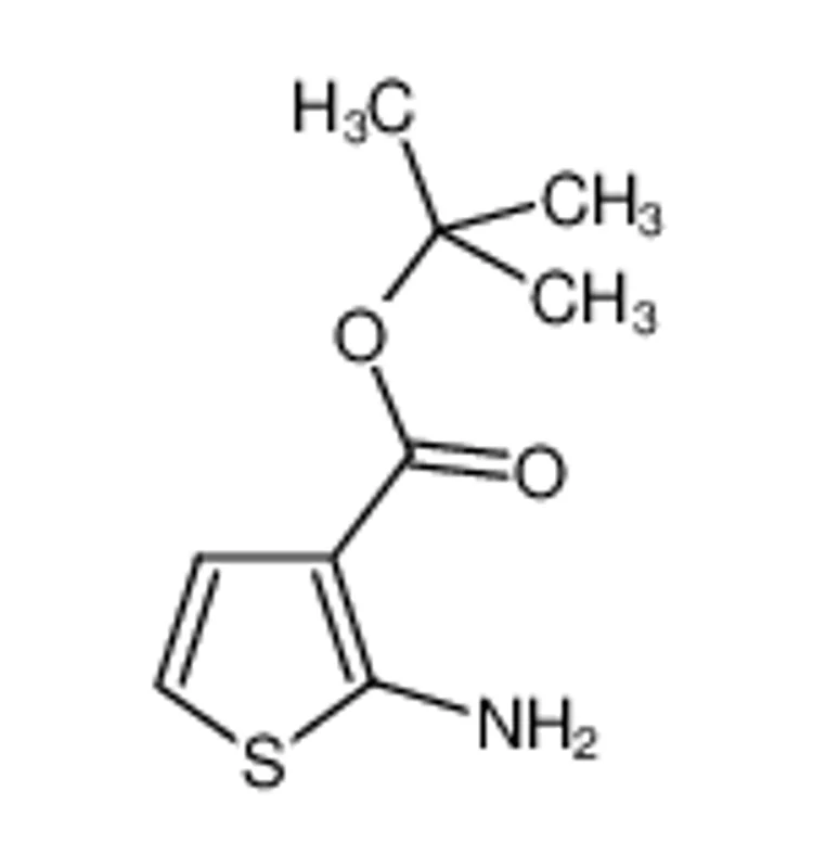 2-氨基噻吩-3-甲酸叔丁酯
