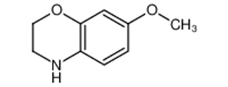 7-甲氧基-3，4-二氢-2H-苯并[b][1，4]噁嗪