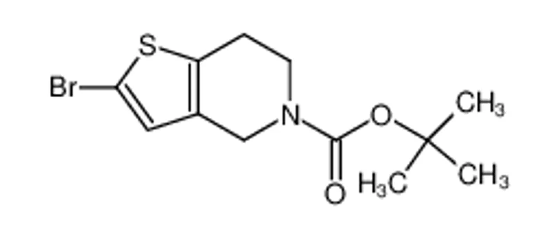 2-溴-6，7-二氢噻吩并[3，2-C]吡啶--5(4H)-甲酸叔丁酯