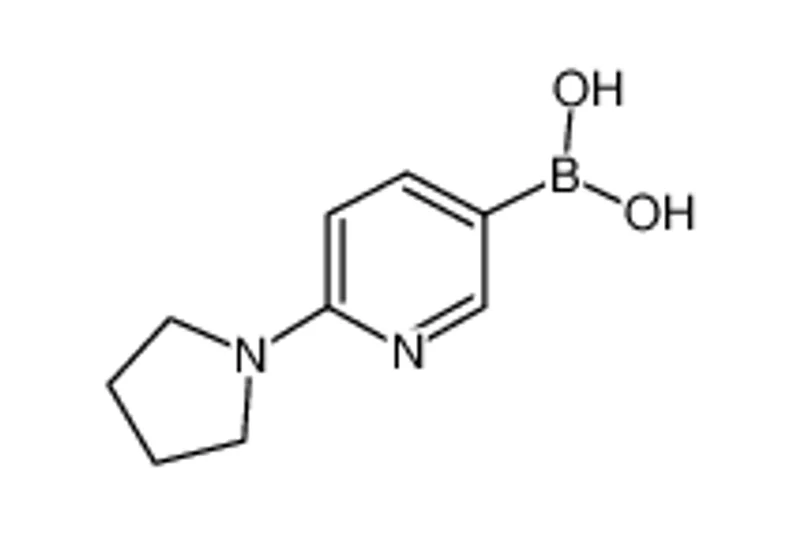 B-[6-(1-吡咯烷)-3-吡啶]硼酸