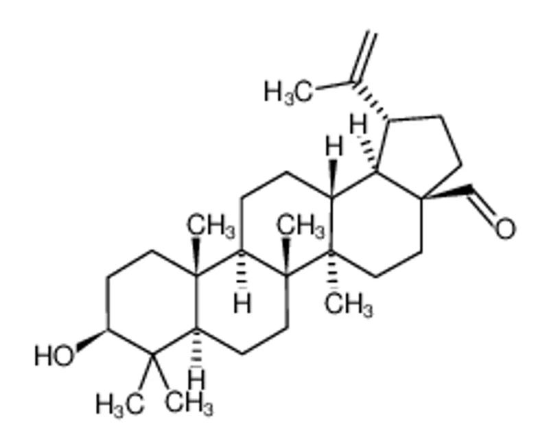 白桦脂醛