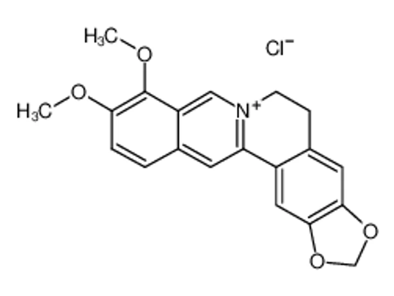 盐酸黄连素水合物