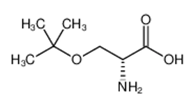 O-叔丁基-D-丝氨酸