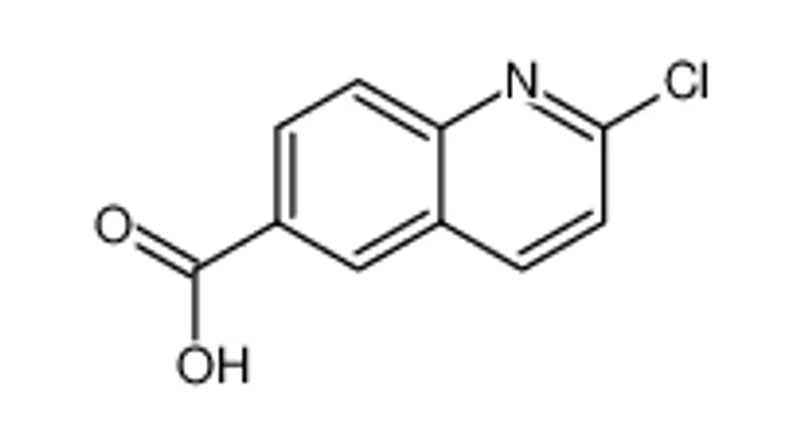 2-氯喹啉-6-羧酸
