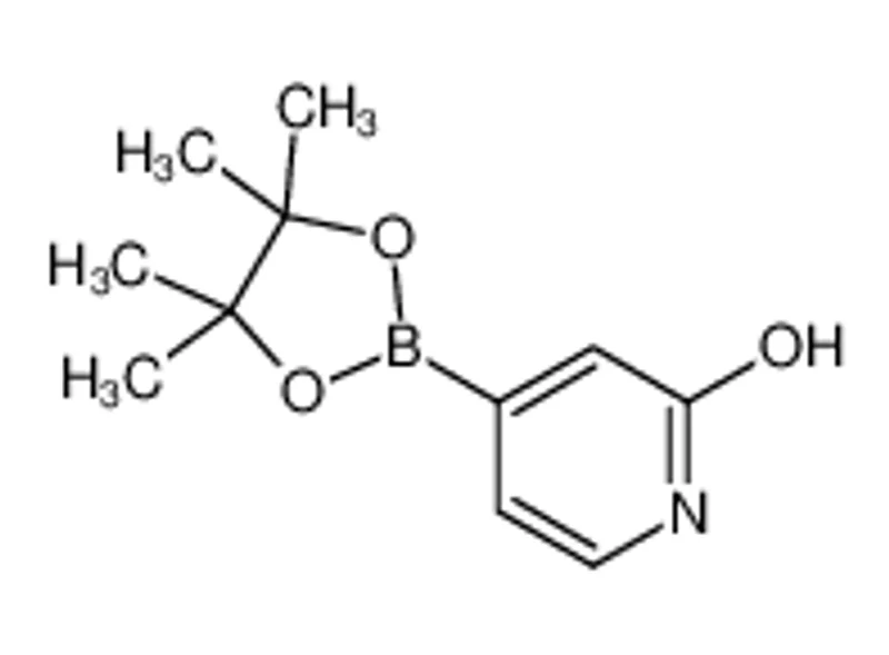 2-羟基吡啶-4-硼酸频那醇酯
