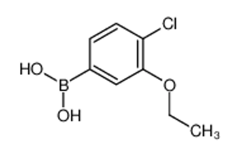 4-氯-3-乙氧基苯硼酸