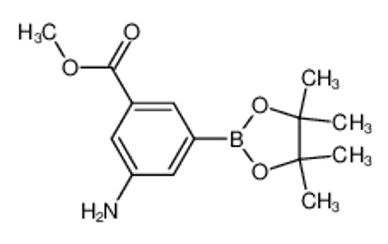 3-氨基-5-甲氧羰基苯基硼酸频哪醇酯