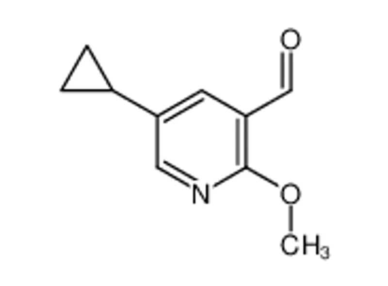 5-环丙基-2-甲氧基烟碱醛
