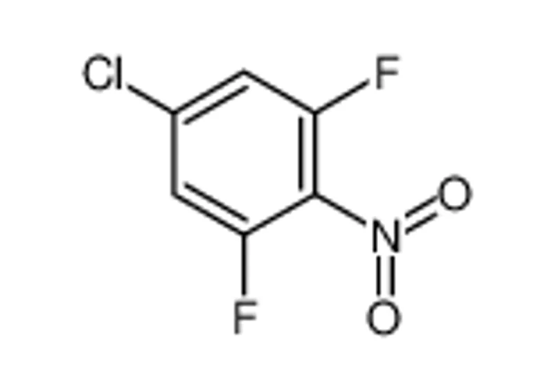 4-氯-2,6-二氟硝基苯