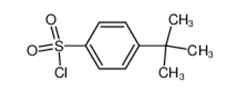 4-叔丁基苯磺酰氯