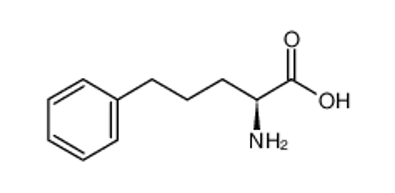l-2-氨基-5-苯基戊酸