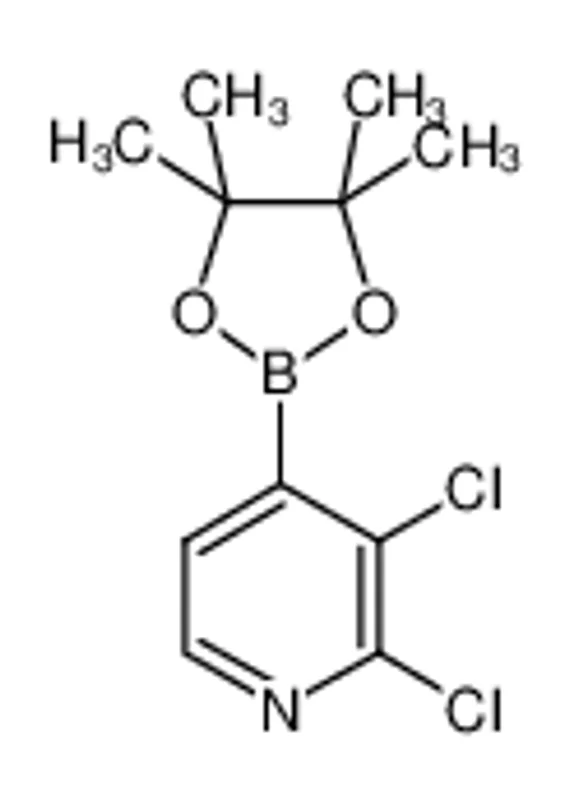 2,3-二氯吡啶-4-硼酸频哪酯