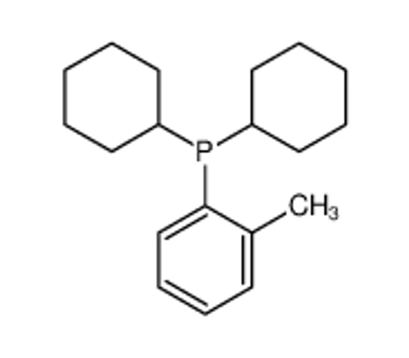 二环己基(邻甲苯基)膦