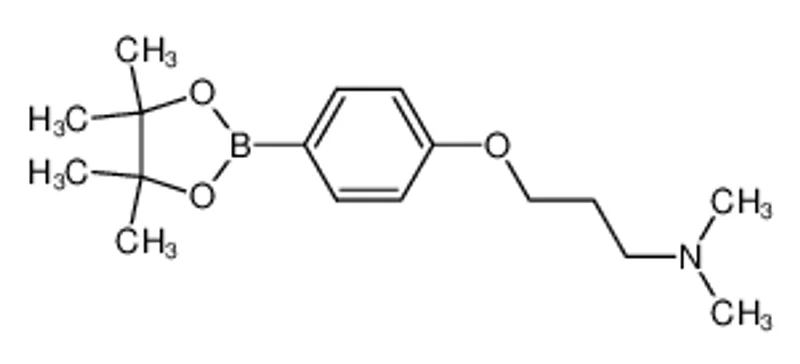 N,N-二甲基-3-(4-(4,4,5,5-四甲基-1,3,2-二氧硼杂环戊烷-2-基)苯氧基)丙-1-胺