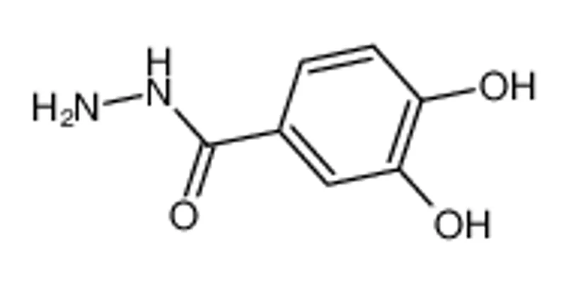 3,4-二羟基苯酰肼
