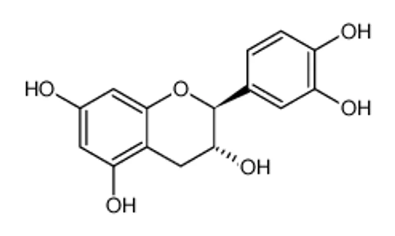 (-)-儿茶素