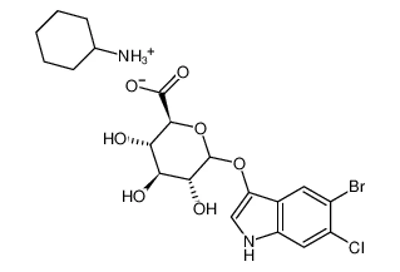 5-溴-6-氯-3-吲哚基β-D-葡糖苷酸环己铵盐 [用于生化研究]