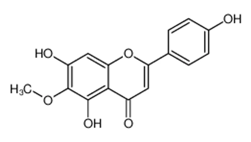 高车前素