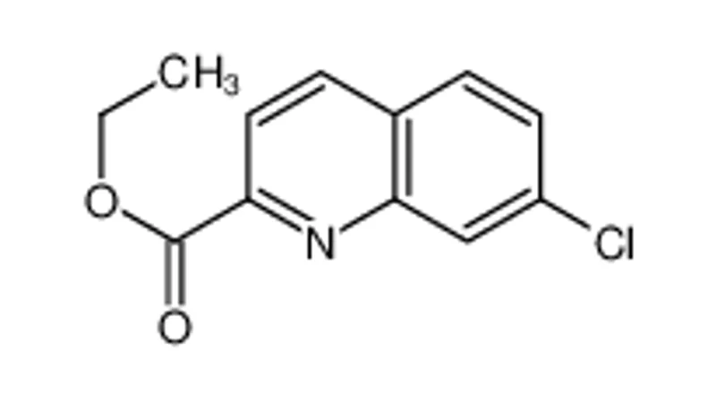 7-氯喹啉-2-羧酸乙酯