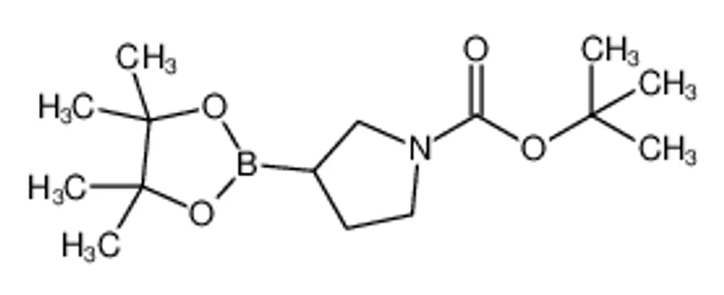 N-Boc-吡咯烷-3-硼酸频哪醇酯