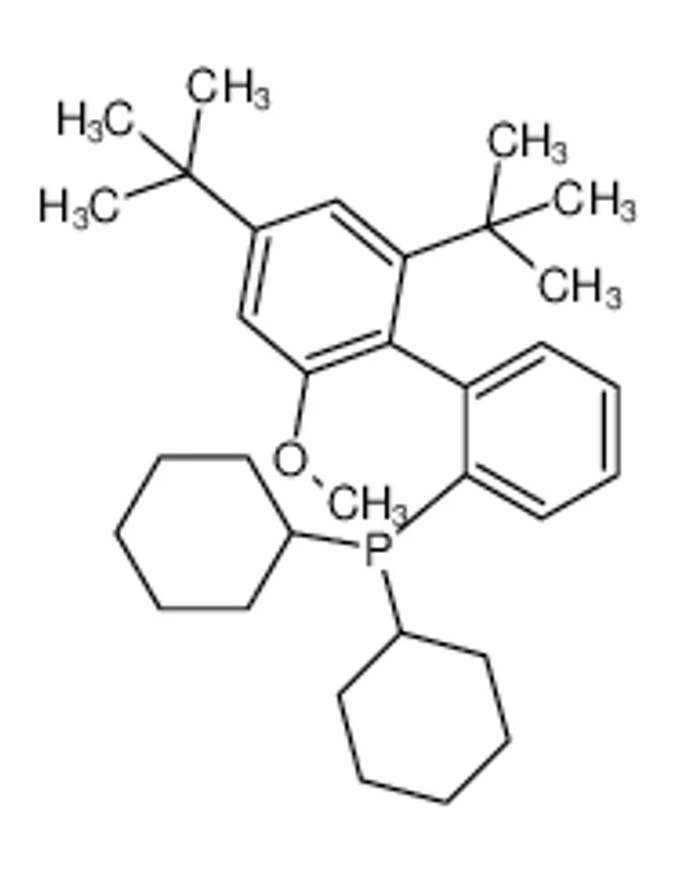 [2',4'-二(1,1-二甲基乙基)-6'-甲氧基[1,1'-联苯]-2-基]二环己基膦
