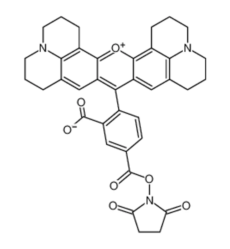 5-羧基-X-罗丹明琥珀酰亚胺酯