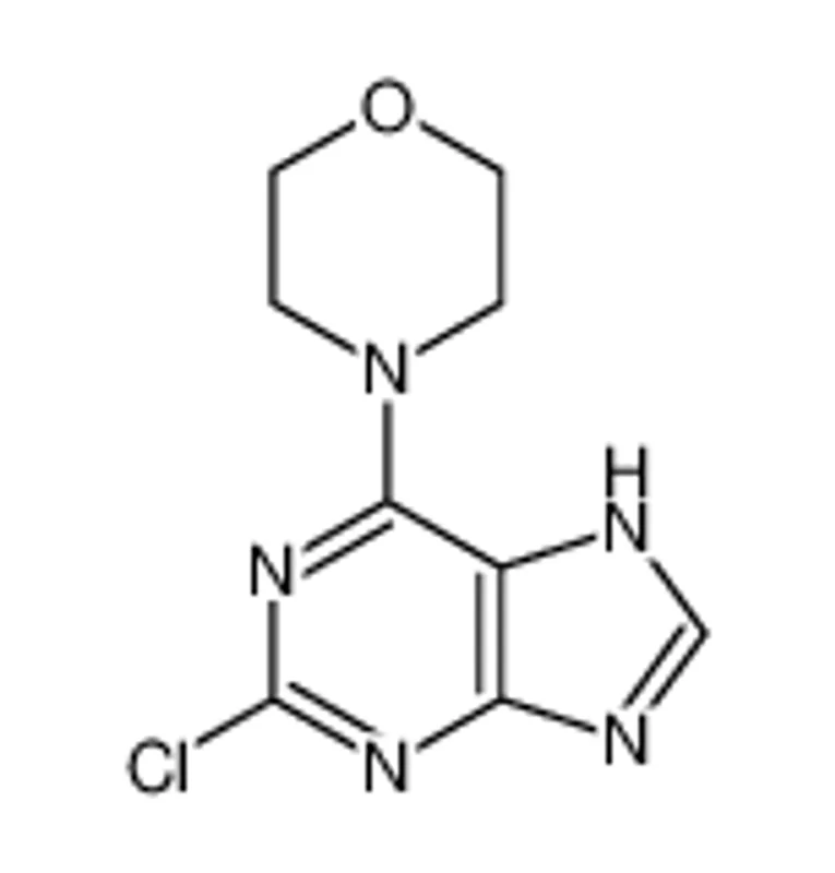 4-(2-氯-9H-嘌呤-6-基)吗啉