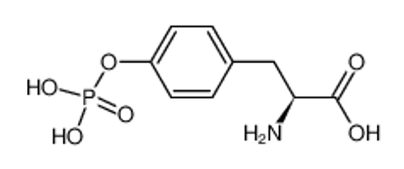 O-磷酸基-L-酪氨酸