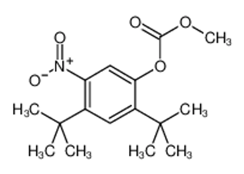 2,4-二叔丁基-5-硝基苯基甲基碳酸酯