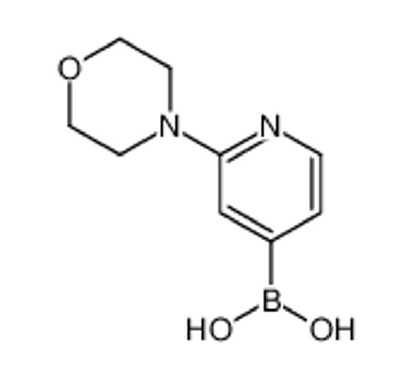 (2-吗啉代吡啶-4-基)硼酸