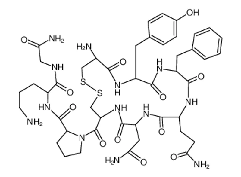 鸟氨酸加压素