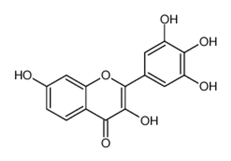 洋槐黄素